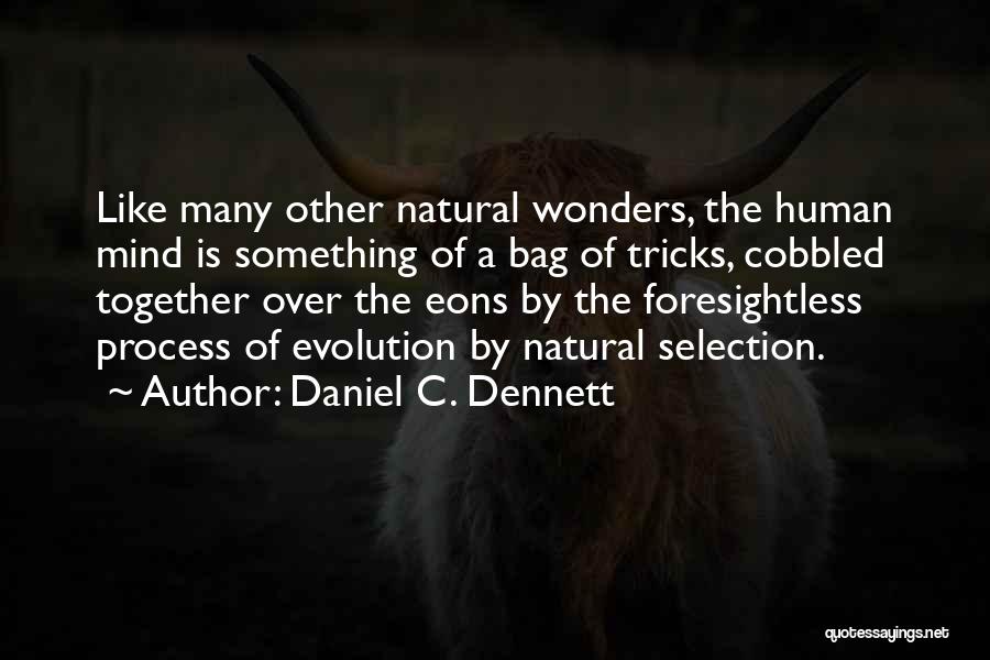 Daniel C. Dennett Quotes: Like Many Other Natural Wonders, The Human Mind Is Something Of A Bag Of Tricks, Cobbled Together Over The Eons