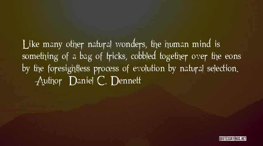 Daniel C. Dennett Quotes: Like Many Other Natural Wonders, The Human Mind Is Something Of A Bag Of Tricks, Cobbled Together Over The Eons