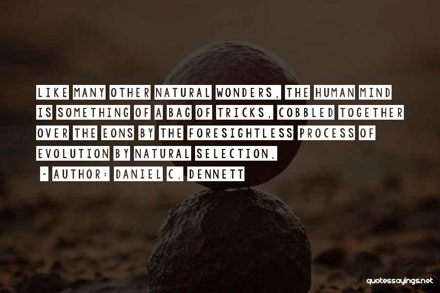 Daniel C. Dennett Quotes: Like Many Other Natural Wonders, The Human Mind Is Something Of A Bag Of Tricks, Cobbled Together Over The Eons