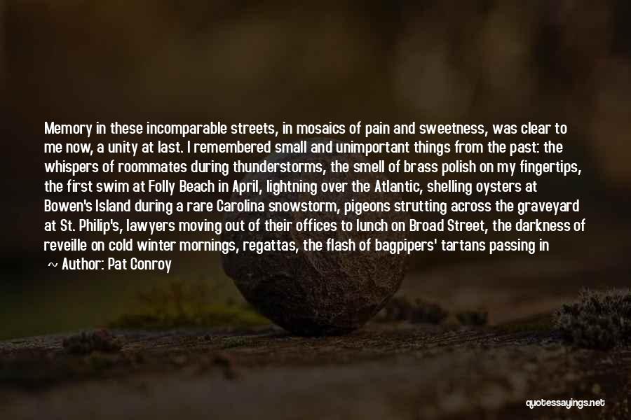 Pat Conroy Quotes: Memory In These Incomparable Streets, In Mosaics Of Pain And Sweetness, Was Clear To Me Now, A Unity At Last.