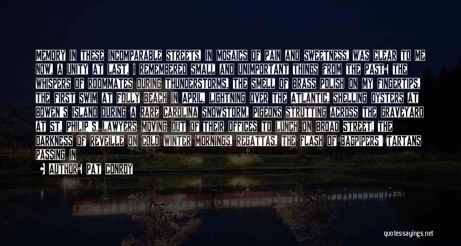 Pat Conroy Quotes: Memory In These Incomparable Streets, In Mosaics Of Pain And Sweetness, Was Clear To Me Now, A Unity At Last.