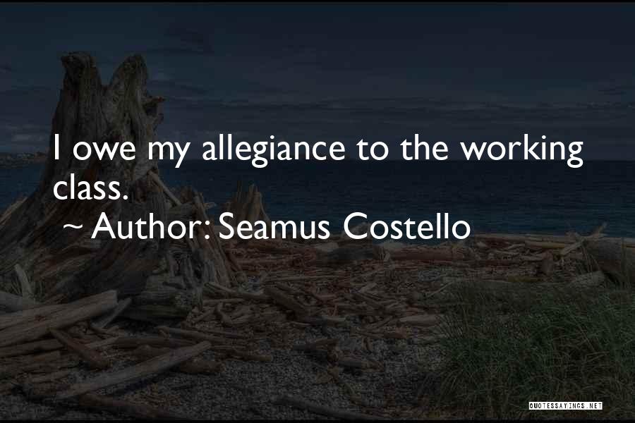 Seamus Costello Quotes: I Owe My Allegiance To The Working Class.
