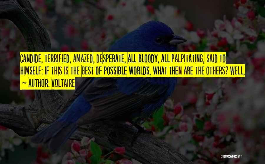 Voltaire Quotes: Candide, Terrified, Amazed, Desperate, All Bloody, All Palpitating, Said To Himself: If This Is The Best Of Possible Worlds, What