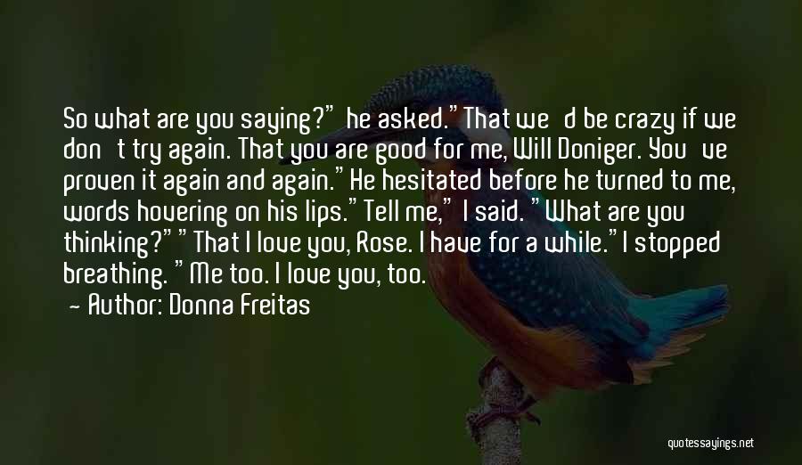 Donna Freitas Quotes: So What Are You Saying? He Asked.that We'd Be Crazy If We Don't Try Again. That You Are Good For