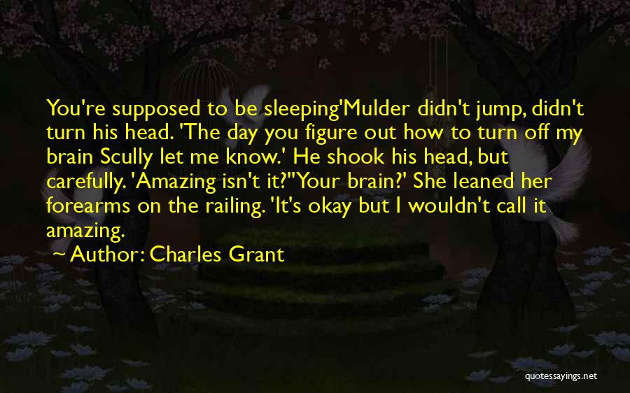 Charles Grant Quotes: You're Supposed To Be Sleeping'mulder Didn't Jump, Didn't Turn His Head. 'the Day You Figure Out How To Turn Off