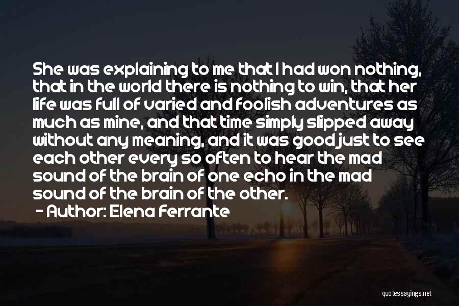 Elena Ferrante Quotes: She Was Explaining To Me That I Had Won Nothing, That In The World There Is Nothing To Win, That