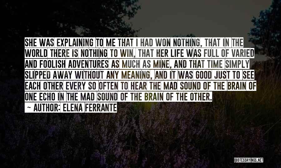 Elena Ferrante Quotes: She Was Explaining To Me That I Had Won Nothing, That In The World There Is Nothing To Win, That