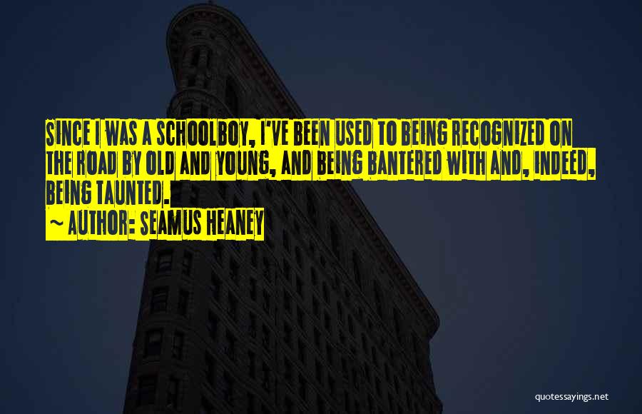 Seamus Heaney Quotes: Since I Was A Schoolboy, I've Been Used To Being Recognized On The Road By Old And Young, And Being