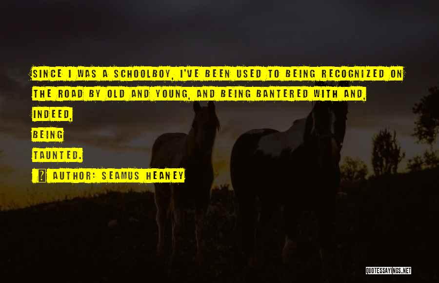 Seamus Heaney Quotes: Since I Was A Schoolboy, I've Been Used To Being Recognized On The Road By Old And Young, And Being