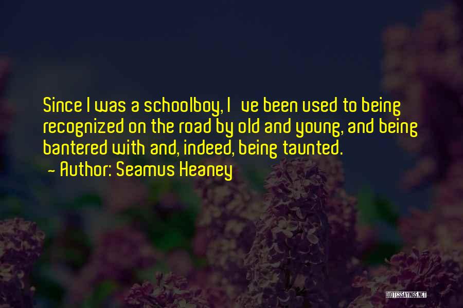 Seamus Heaney Quotes: Since I Was A Schoolboy, I've Been Used To Being Recognized On The Road By Old And Young, And Being