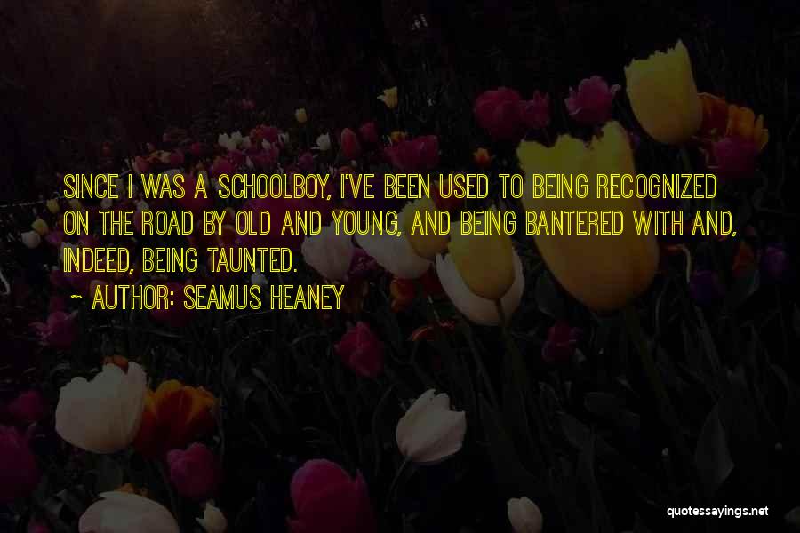 Seamus Heaney Quotes: Since I Was A Schoolboy, I've Been Used To Being Recognized On The Road By Old And Young, And Being