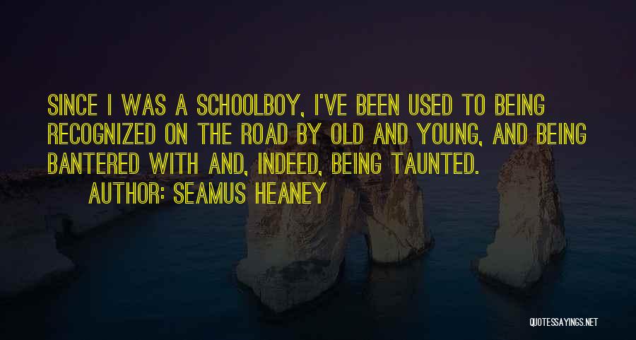 Seamus Heaney Quotes: Since I Was A Schoolboy, I've Been Used To Being Recognized On The Road By Old And Young, And Being