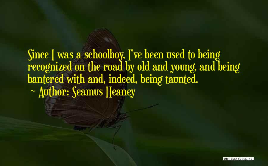 Seamus Heaney Quotes: Since I Was A Schoolboy, I've Been Used To Being Recognized On The Road By Old And Young, And Being