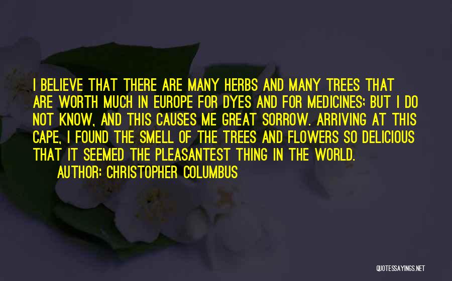 Christopher Columbus Quotes: I Believe That There Are Many Herbs And Many Trees That Are Worth Much In Europe For Dyes And For