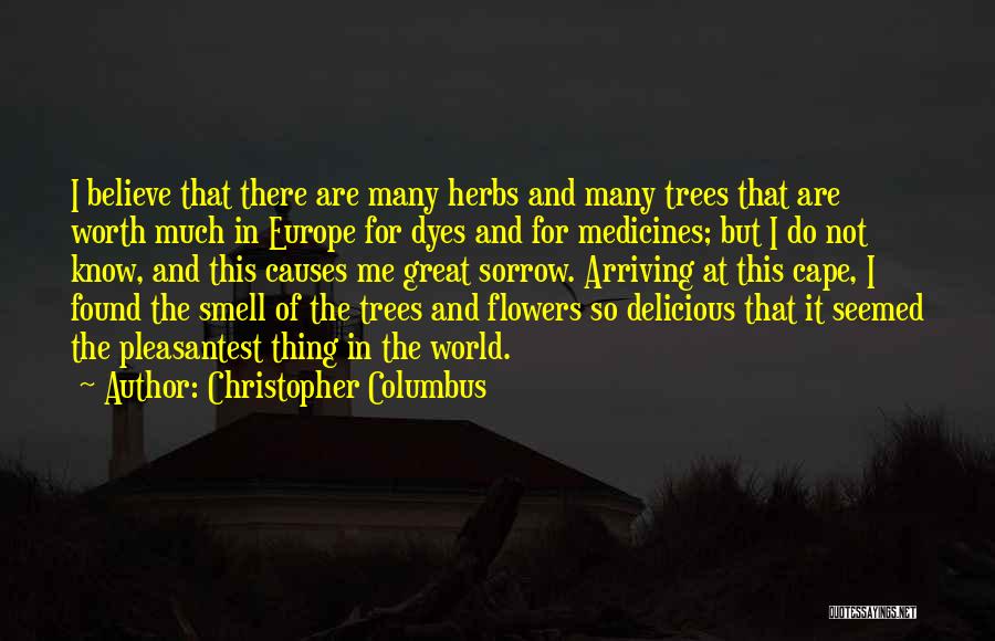 Christopher Columbus Quotes: I Believe That There Are Many Herbs And Many Trees That Are Worth Much In Europe For Dyes And For