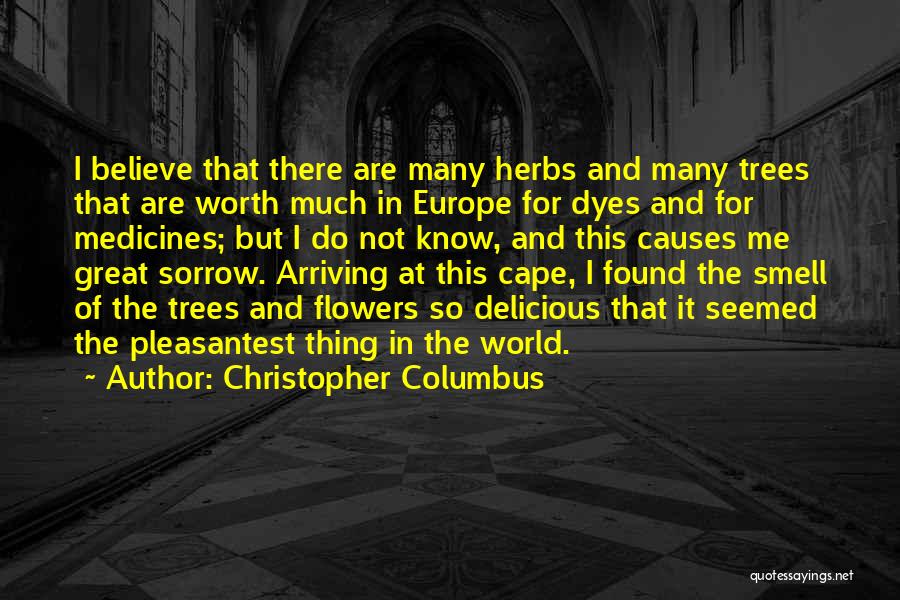 Christopher Columbus Quotes: I Believe That There Are Many Herbs And Many Trees That Are Worth Much In Europe For Dyes And For