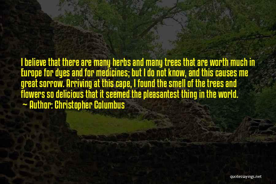 Christopher Columbus Quotes: I Believe That There Are Many Herbs And Many Trees That Are Worth Much In Europe For Dyes And For