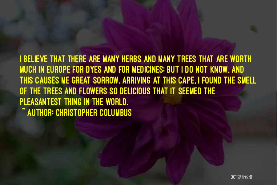 Christopher Columbus Quotes: I Believe That There Are Many Herbs And Many Trees That Are Worth Much In Europe For Dyes And For