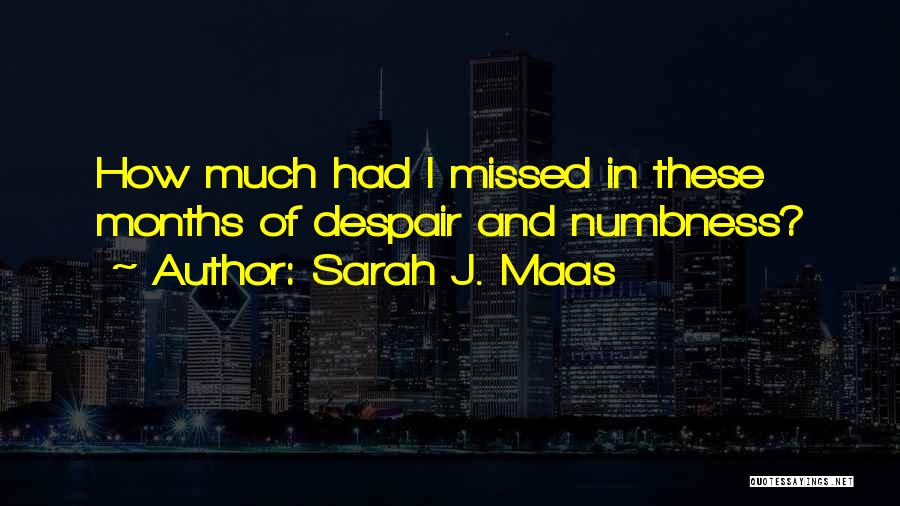 Sarah J. Maas Quotes: How Much Had I Missed In These Months Of Despair And Numbness?