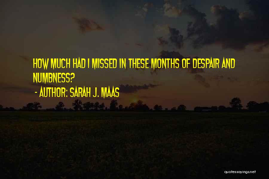 Sarah J. Maas Quotes: How Much Had I Missed In These Months Of Despair And Numbness?