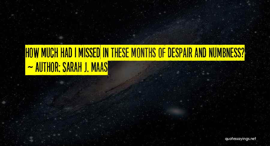 Sarah J. Maas Quotes: How Much Had I Missed In These Months Of Despair And Numbness?