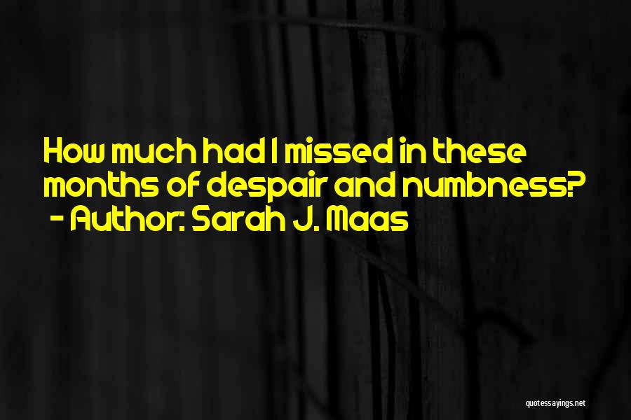 Sarah J. Maas Quotes: How Much Had I Missed In These Months Of Despair And Numbness?