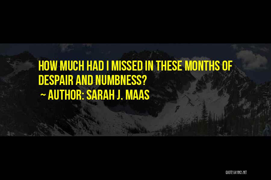 Sarah J. Maas Quotes: How Much Had I Missed In These Months Of Despair And Numbness?