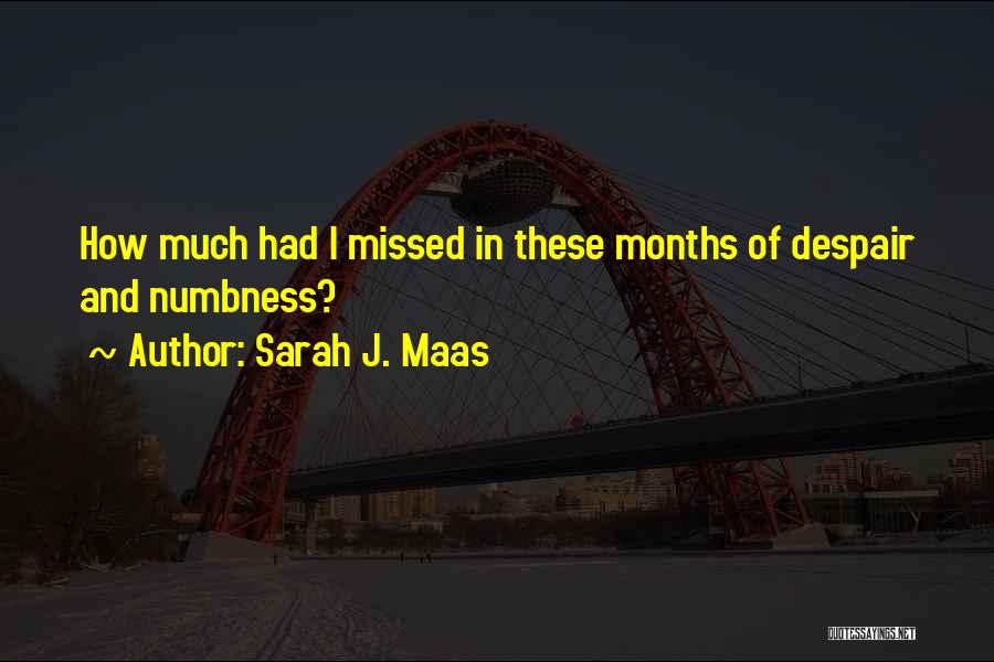 Sarah J. Maas Quotes: How Much Had I Missed In These Months Of Despair And Numbness?
