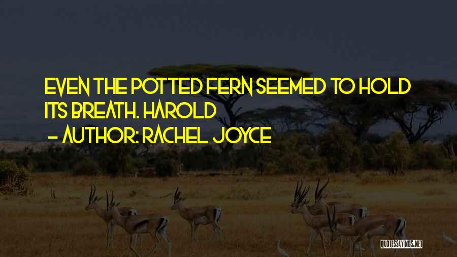 Rachel Joyce Quotes: Even The Potted Fern Seemed To Hold Its Breath. Harold