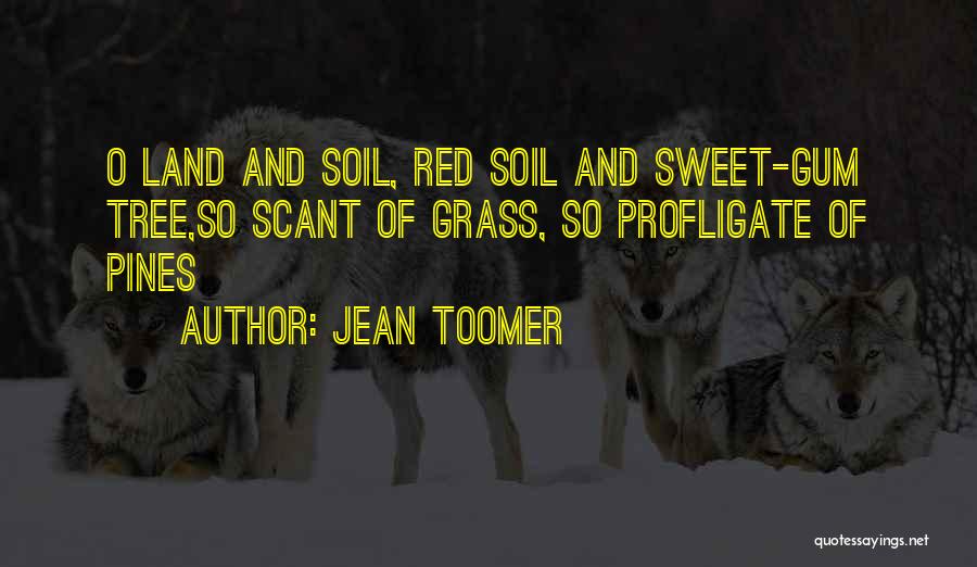 Jean Toomer Quotes: O Land And Soil, Red Soil And Sweet-gum Tree,so Scant Of Grass, So Profligate Of Pines