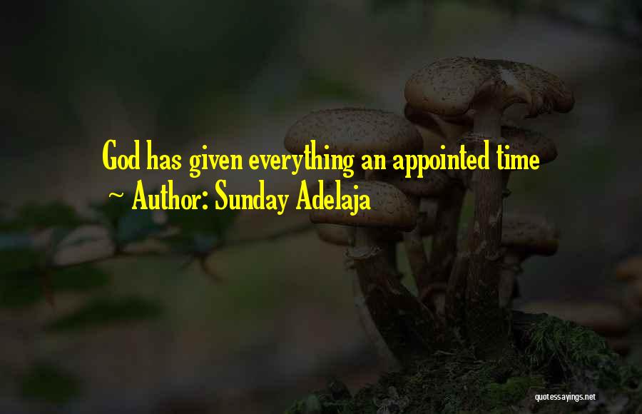 Sunday Adelaja Quotes: God Has Given Everything An Appointed Time