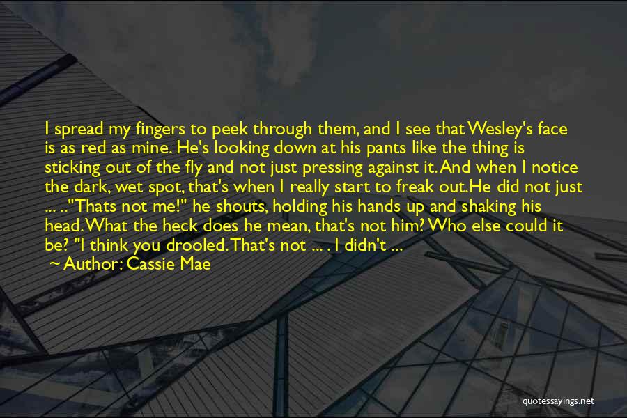 Cassie Mae Quotes: I Spread My Fingers To Peek Through Them, And I See That Wesley's Face Is As Red As Mine. He's