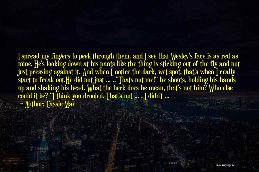 Cassie Mae Quotes: I Spread My Fingers To Peek Through Them, And I See That Wesley's Face Is As Red As Mine. He's