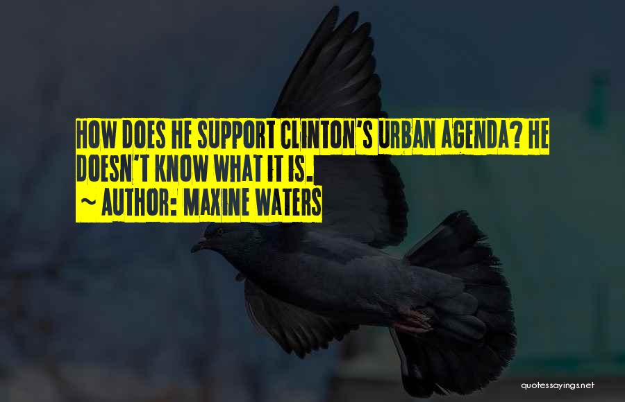 Maxine Waters Quotes: How Does He Support Clinton's Urban Agenda? He Doesn't Know What It Is.