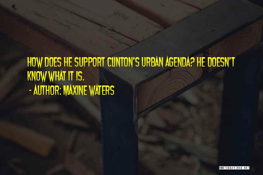 Maxine Waters Quotes: How Does He Support Clinton's Urban Agenda? He Doesn't Know What It Is.