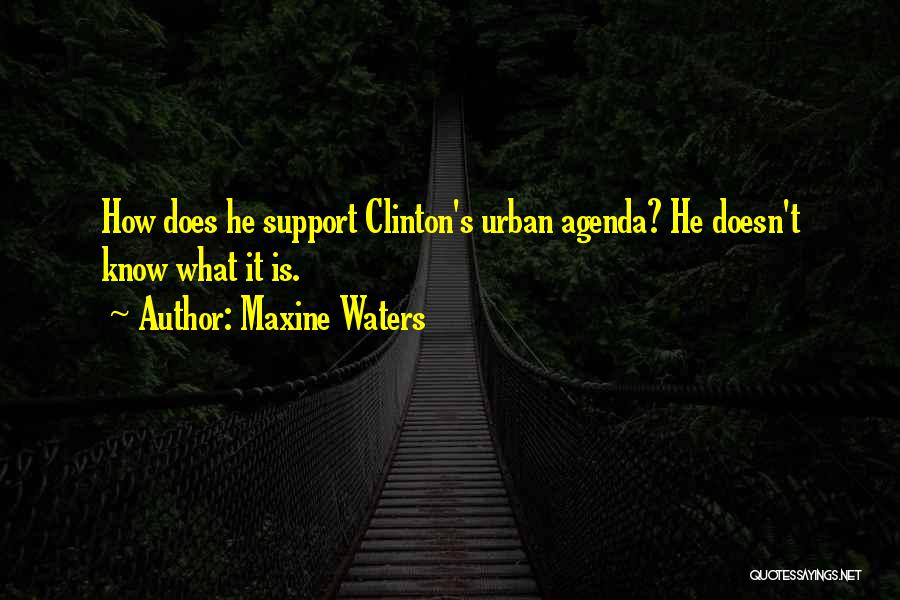 Maxine Waters Quotes: How Does He Support Clinton's Urban Agenda? He Doesn't Know What It Is.