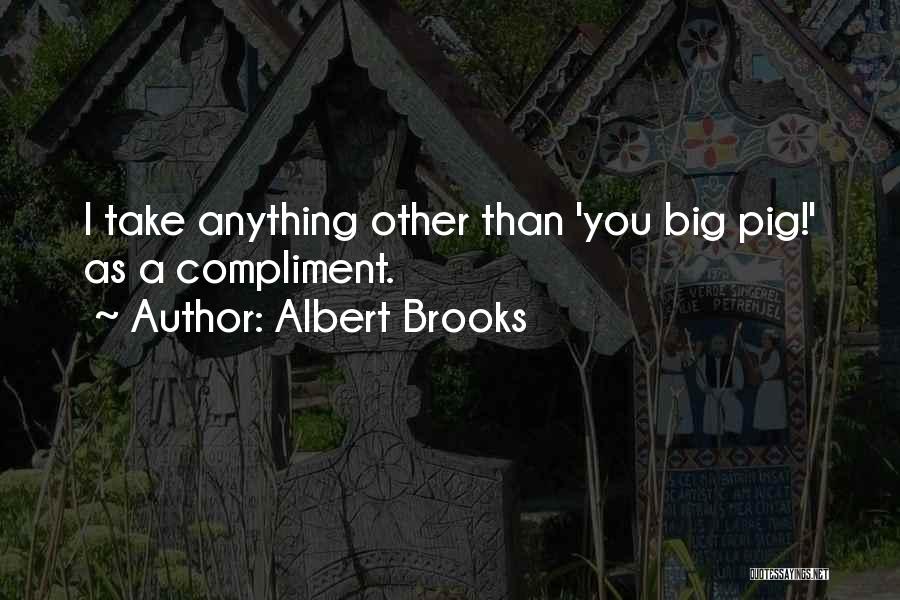 Albert Brooks Quotes: I Take Anything Other Than 'you Big Pig!' As A Compliment.