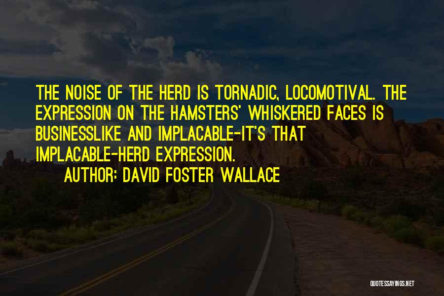 David Foster Wallace Quotes: The Noise Of The Herd Is Tornadic, Locomotival. The Expression On The Hamsters' Whiskered Faces Is Businesslike And Implacable-it's That