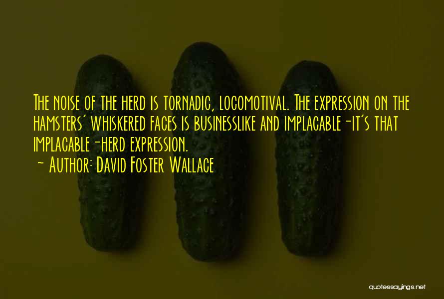 David Foster Wallace Quotes: The Noise Of The Herd Is Tornadic, Locomotival. The Expression On The Hamsters' Whiskered Faces Is Businesslike And Implacable-it's That