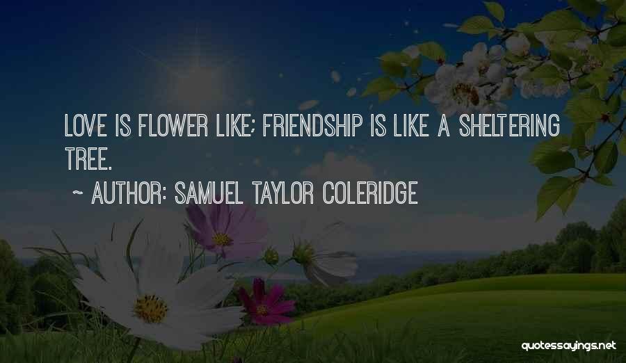 Samuel Taylor Coleridge Quotes: Love Is Flower Like; Friendship Is Like A Sheltering Tree.