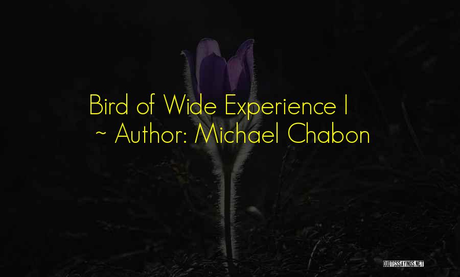 Michael Chabon Quotes: Bird Of Wide Experience I