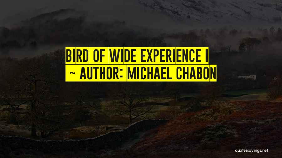 Michael Chabon Quotes: Bird Of Wide Experience I