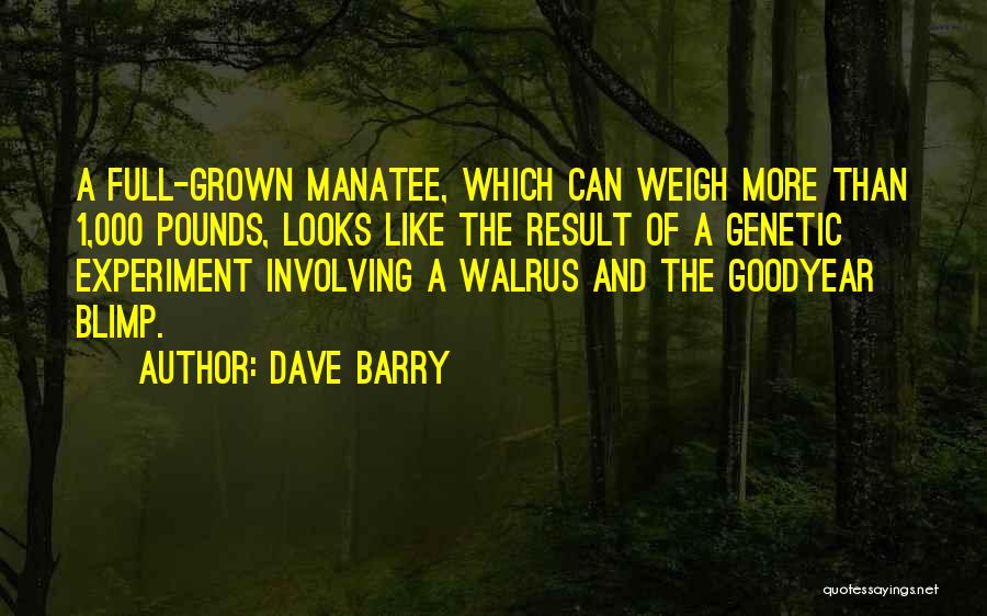 Dave Barry Quotes: A Full-grown Manatee, Which Can Weigh More Than 1,000 Pounds, Looks Like The Result Of A Genetic Experiment Involving A