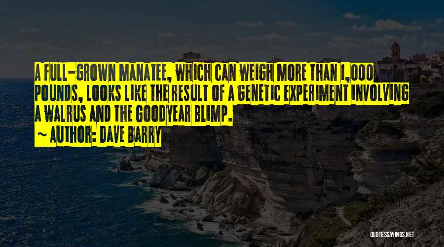 Dave Barry Quotes: A Full-grown Manatee, Which Can Weigh More Than 1,000 Pounds, Looks Like The Result Of A Genetic Experiment Involving A