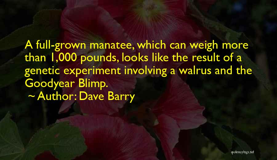 Dave Barry Quotes: A Full-grown Manatee, Which Can Weigh More Than 1,000 Pounds, Looks Like The Result Of A Genetic Experiment Involving A