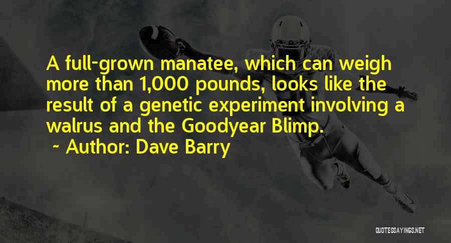 Dave Barry Quotes: A Full-grown Manatee, Which Can Weigh More Than 1,000 Pounds, Looks Like The Result Of A Genetic Experiment Involving A