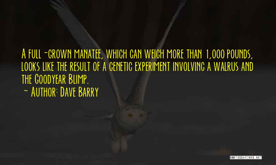 Dave Barry Quotes: A Full-grown Manatee, Which Can Weigh More Than 1,000 Pounds, Looks Like The Result Of A Genetic Experiment Involving A