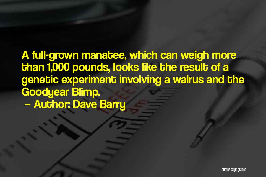 Dave Barry Quotes: A Full-grown Manatee, Which Can Weigh More Than 1,000 Pounds, Looks Like The Result Of A Genetic Experiment Involving A