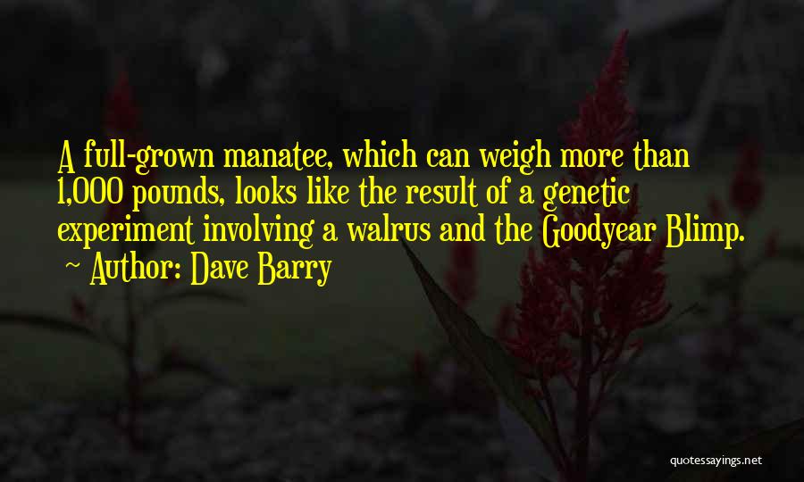 Dave Barry Quotes: A Full-grown Manatee, Which Can Weigh More Than 1,000 Pounds, Looks Like The Result Of A Genetic Experiment Involving A