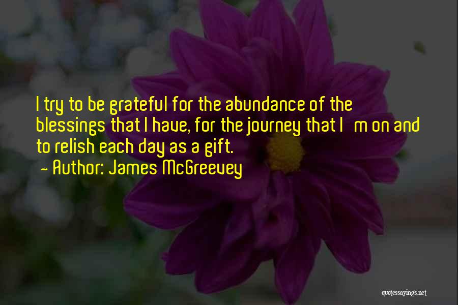 James McGreevey Quotes: I Try To Be Grateful For The Abundance Of The Blessings That I Have, For The Journey That I'm On